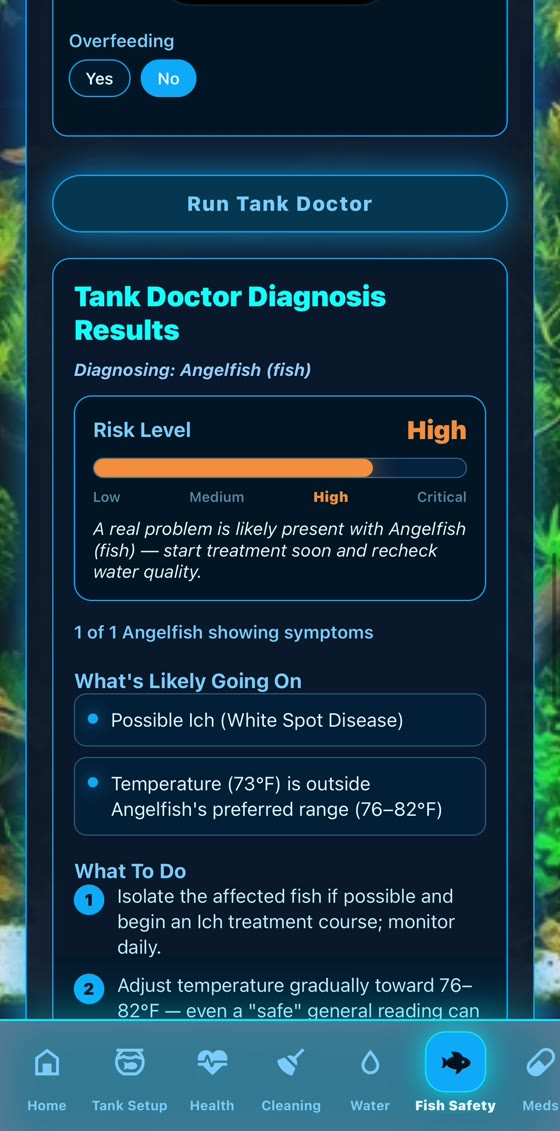 Tank Doctor Diagnosis Results showing a high risk level, possible ich and what to do